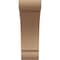 Ekena Millwork 10"W x 20"D x 30"H Classic Olympic Rough Cedar Woodgrain TimberThane Corbel, Primed Tan CORUR10X20X30OLYRCPR - alternate 4